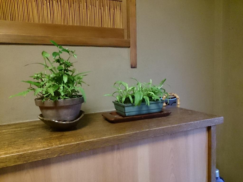 Ryokan Nakajimaya Kyoto Exterior photo
